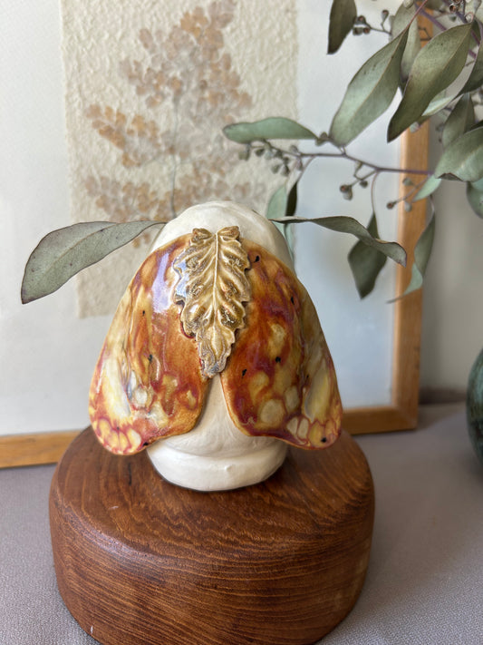 Moth Vase Red Wings